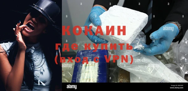 прущие грибы Бородино