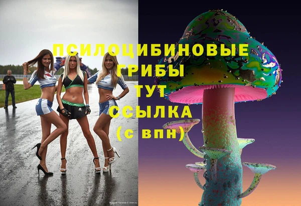 кокс Богородицк