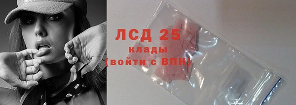 прущие грибы Бородино