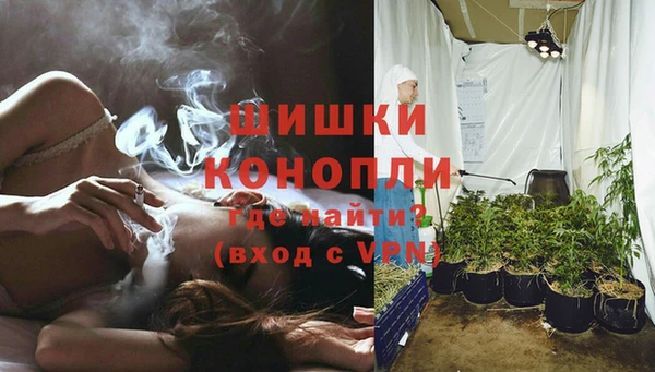 эйфоретик Богородск