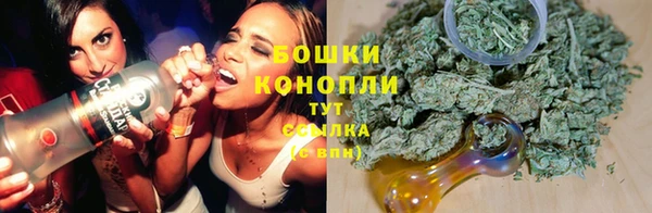 прущие грибы Бородино