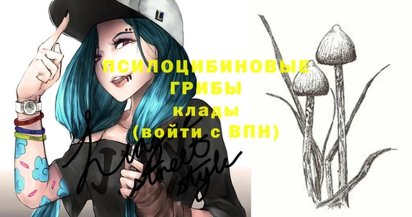 ешки Бугульма