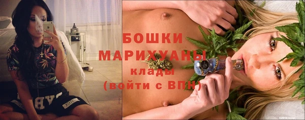 прущие грибы Бородино