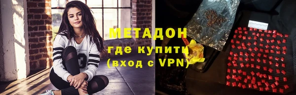 прущие грибы Бородино